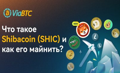 Shibacoin