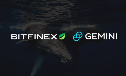 Битфайнек_джемини