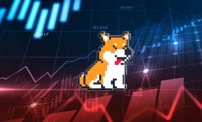 Криптовалюта Тамадоги