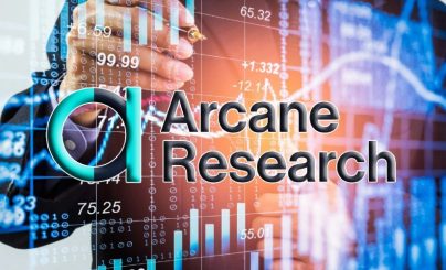 Экспертное мнение Аркан Рисерч