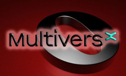 МультиверКС
