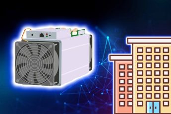 Асик в квартире