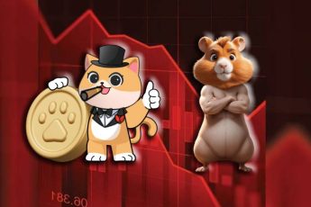 Кати и Хмстр